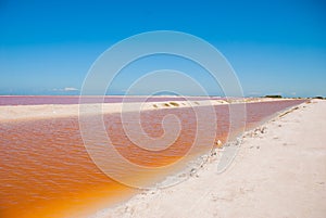 Striking red pool used in the production of salt near Rio Lagartos, Mexico, Yucatan photo