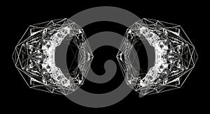 Symmetrical Digital Toroidal Wireframe Structure