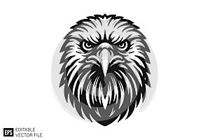 Fierce Eagle Head Vector Illustration