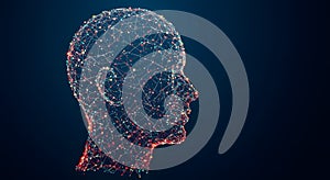 Abstract Digital Human Head Network