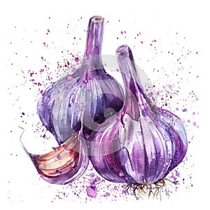 A striking watercolor depiction of garlic bulbs with earth-toned splashes