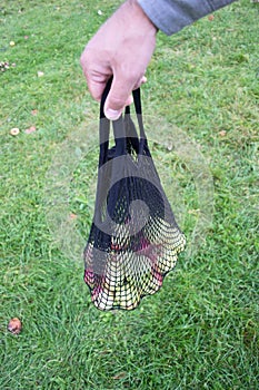 A string bag with apples in hand. Garden apples in an eco-friendly bag on green grass. Using reusable bags