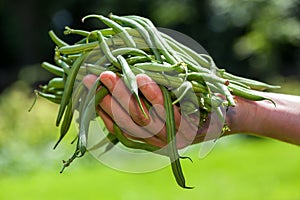 String beans