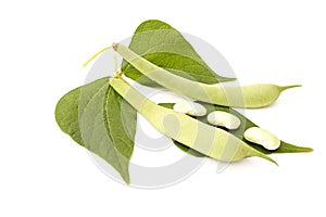 String beans, haricot bean