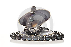 String of black pearls in a sea shell