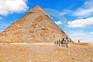 String of camels near the Pyramid of Chephren, Egypt