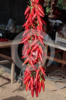 String of chili peppers.
