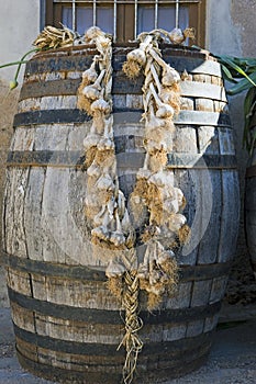 String Of Garlic Hanging From Cask