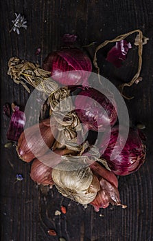 String of garlic, onions and echalotte