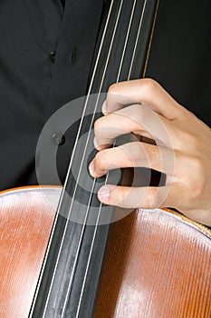 String instrument