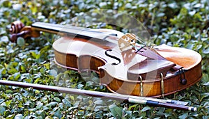 String instruments at sabatini garderns