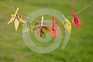 String with leaves and letters spelling: AUTUMN