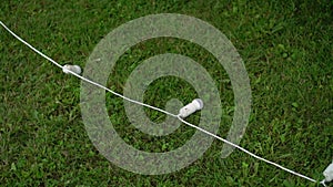 String light garland with white lamp bulbs on a green grass lawn.