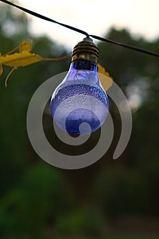 String of lights in bulb shape. Garden party or relaxing evening outdoors. Light mood with bokeh