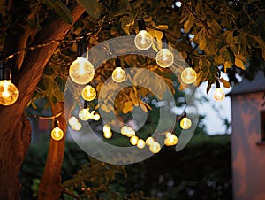 String Lights on tree evening background