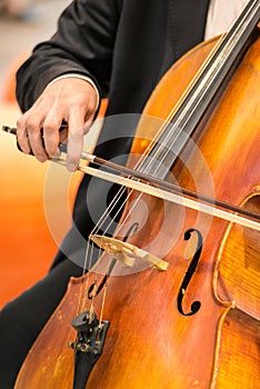 String musical instrument, viola - large violin, close up. Vertical frame