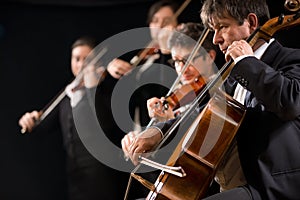 String orchestra performance