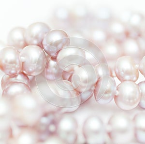 String of pearls delicate pink color