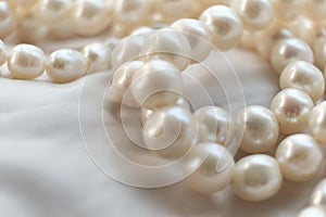 A string of pearls gracefully rests on a white backdrop, blurring softly at the edges. The image is a quaint
