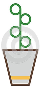 String of pearls plant in pot, icon