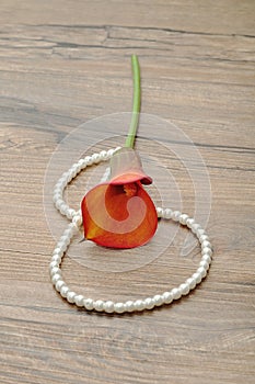 A string of pearls with a yellow arum lilly
