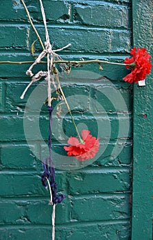 String Tied Flowers on Wall