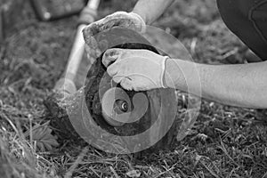 String trimmer cleaning after cutting the grass, workflow