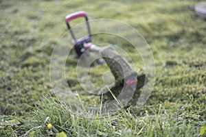 String trimmer lies on mown lawn middle of the yard