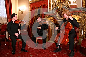 String trio photo