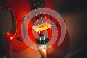 Stringed instruments for classical music Concept of classical and good music photo