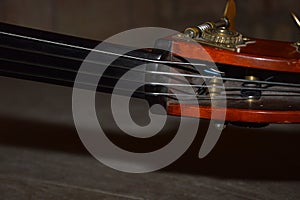 A Stringed music instrument zoom on a double bas