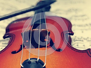 Violin music instrument