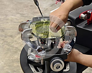 Strings a badminton racket on a racket stringing machine.