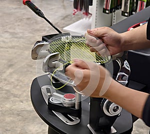 Strings a badminton racket on a racket stringing machine.