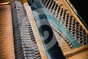 Strings of a black grand piano..