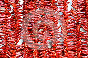 Strings of Espelette peppers drying