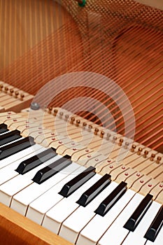 Strings of open piano