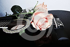 Strings and roses, symbols