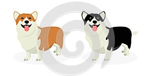 A strip of dogs breed Welsh Corgi. Row of dogs. Pattern of funny doggies