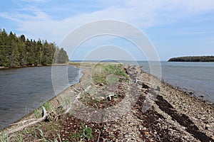 A strip of land with dried seaweed, beach grass and driftwood in a bay in a secluded area of Nova Scotia.