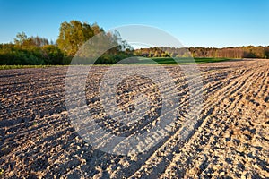 A strip of plowed field and a forest on the horizon