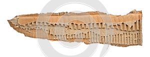 Strip of torn out cardboard