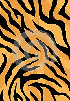 stripe animals jungle tiger fur texture pattern photo