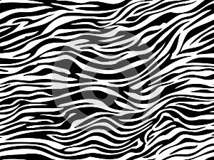 Stripe animals jungle tiger zebra fur texture pattern seamless repeating white black photo