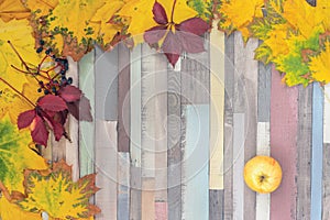 Striped background with autumn leaves