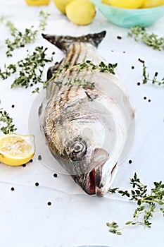 Striped Bass With Fresh Herbs and Lemons