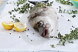 Striped Bass and Ingredients photo