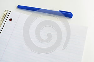 Striped blank notebook with pen. Spiral notepad and blue pen