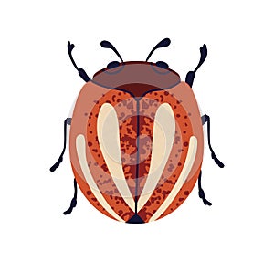 Striped bug. Summer insect, pest, fictional fauna species. Colorado potato beetle icon with spots and legs, top view photo