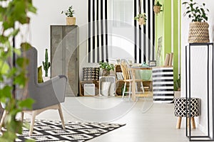 Striped drapes in modern apartment interior with metal cabinet a